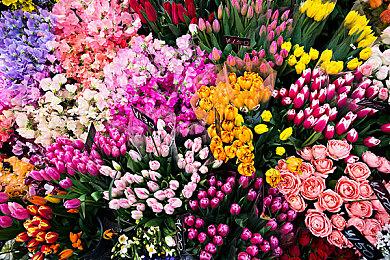 《博德之门3》被ESRB评为成人级 暴力裸体性内容刺激